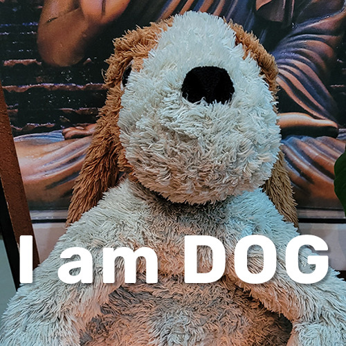 Dog Image